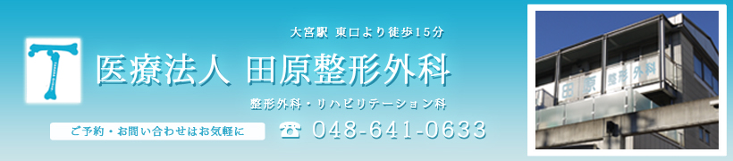 アクセス　田原整形外科医院